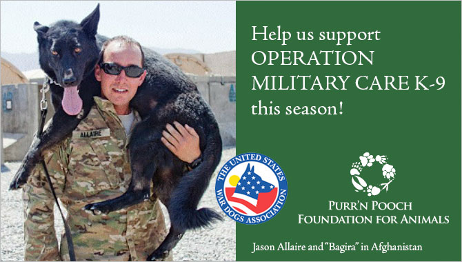 Support U.S. Military Working Dog Teams this Season of Giving 