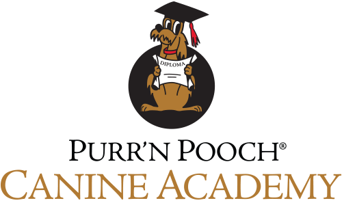 Join us in January! Training at Purr'n Pooch