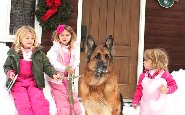 10 Ways to Prepare for a New Pet Over the Holidays